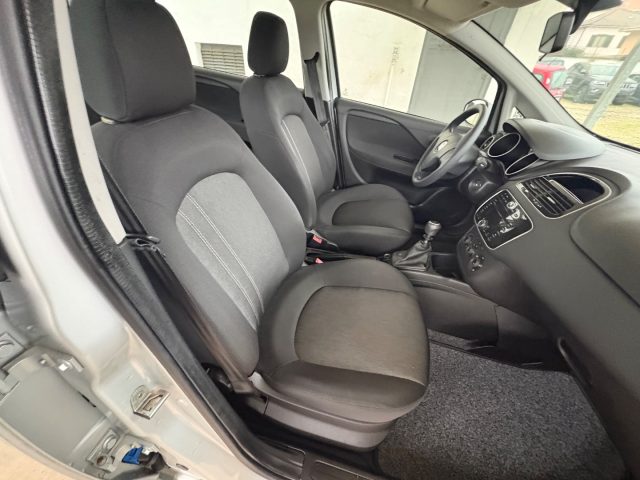 FIAT Punto usata, con Cronologia tagliandi