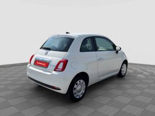 FIAT 500 usata 4