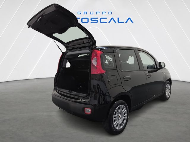 FIAT Pandina usata 22