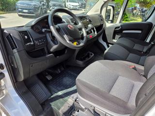 FIAT Ducato usata, con Servosterzo