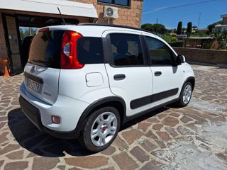 FIAT Panda usata, con Antifurto