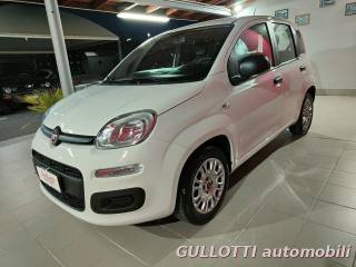FIAT Panda usata, con Airbag Passeggero