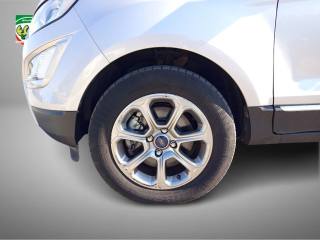 FORD EcoSport usata, con Bracciolo