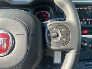FIAT Panda usata, con Specchietti laterali elettrici