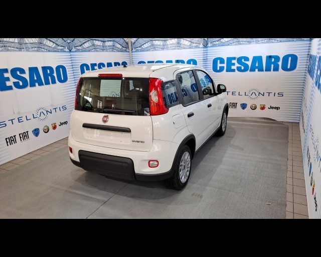 FIAT New Panda usata, con Alzacristalli elettrici