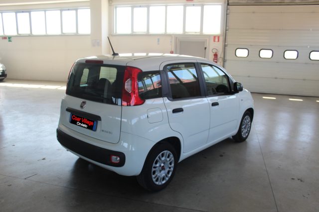 FIAT Panda usata, con Airbag Passeggero