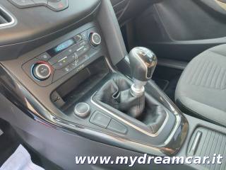 FORD Focus usata 13