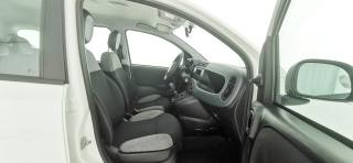 FIAT Panda usata 45
