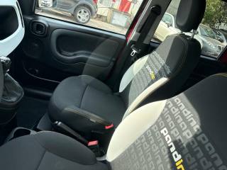 FIAT Panda usata, con Airbag Passeggero