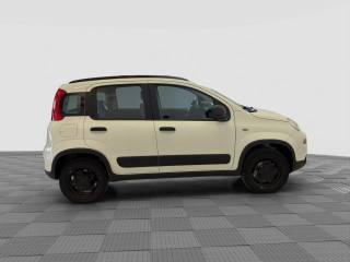 FIAT Panda usata 5