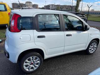 FIAT Panda usata 16