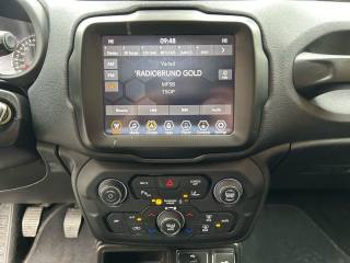 JEEP Renegade usata, con Controllo automatico clima