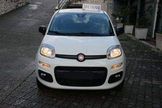FIAT Panda usata, con Climatizzatore
