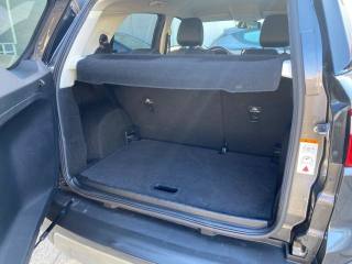 FORD EcoSport usata, con Bracciolo