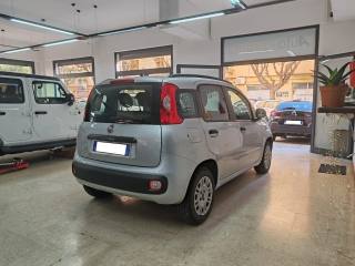FIAT Panda usata, con Chiusura centralizzata