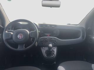 FIAT Panda usata 10