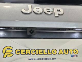 JEEP Avenger usata, con Volante in pelle