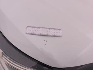RENAULT Clio usata, con Sistema di chiamata d