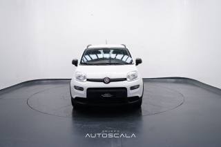 FIAT New Panda usata, con Airbag