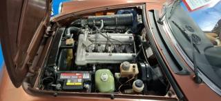 ALFA ROMEO Spider usata 36