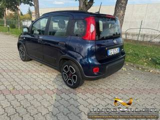 FIAT Panda usata, con Airbag