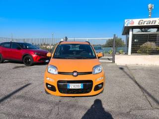 FIAT Panda usata 1
