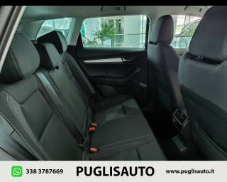 SKODA Karoq usata, con Autoradio digitale