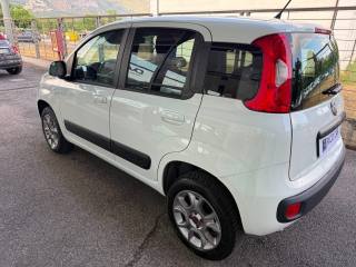 FIAT Panda usata, con Airbag Passeggero