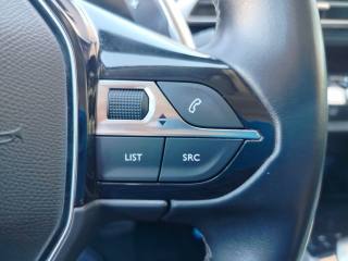 PEUGEOT 3008 usata, con Bracciolo