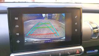 CITROEN C4 Cactus usata, con Sedile posteriore sdoppiato