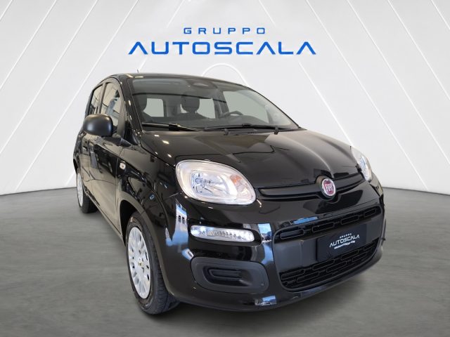 FIAT New Panda usata, con Autoradio