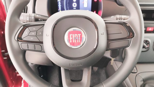 FIAT Pandina usata 33