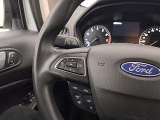 FORD EcoSport usata, con Fendinebbia