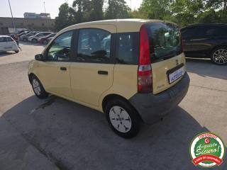 FIAT Panda usata 5