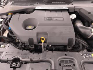 LAND ROVER Range Rover Evoque usata, con Volante multifunzione