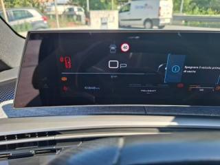 PEUGEOT 3008 usata, con Airbag testa