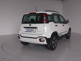 FIAT Panda usata, con Cronologia tagliandi