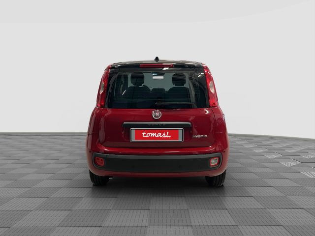 FIAT Panda usata 4