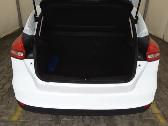 FORD Focus usata, con Fendinebbia