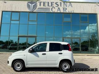 FIAT Panda usata 4