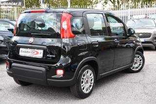 FIAT Panda usata, con Airbag Passeggero