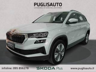 SKODA Karoq usata, con Cruise Control