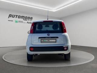 FIAT Panda usata, con Controllo trazione