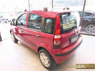 FIAT Panda usata 8