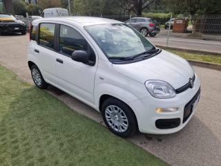 FIAT Pandina usata, con Climatizzatore