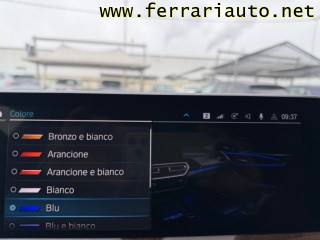 BMW X4 usata, con Controllo trazione