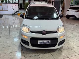 FIAT New Panda usata, con Airbag laterali