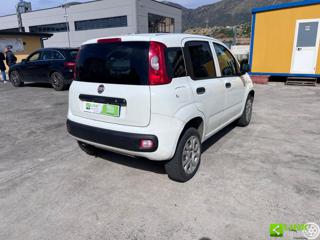 FIAT Panda usata, con Airbag laterali