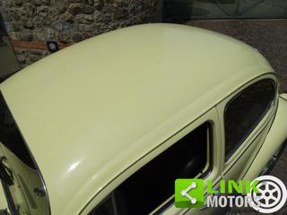 VOLKSWAGEN Maggiolone usata 30