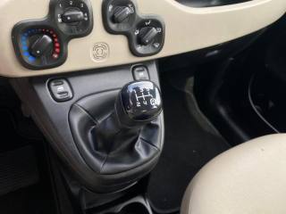 FIAT Panda usata, con Servosterzo